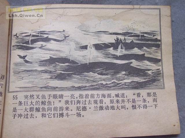 ����������£���58ҳ