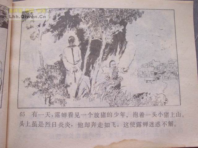 ͵ȭ������68ҳ